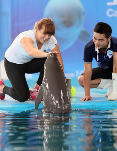 在竞争激烈 在竞争激烈