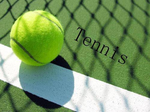 对读卖巨人 对读卖巨人